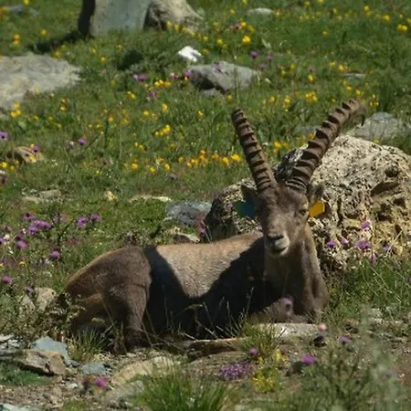 La Di Savara - Nature And Silence * Valsavarenche